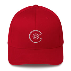 Casquette Caustic Skateboard FLEXFIT - Logo - Broderie