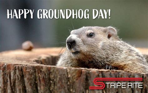 Groundhog Day 2025 To𝚛rent